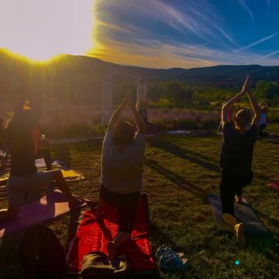 Esemenyek A Kertben 02