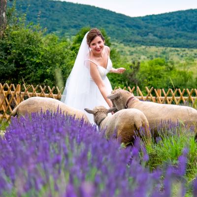 Levendulaskert Eskuvo 09